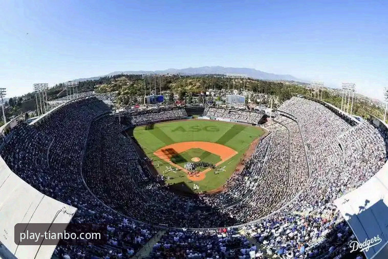 揭秘天博体育官网安装全流程：从下载到畅玩的深度指南