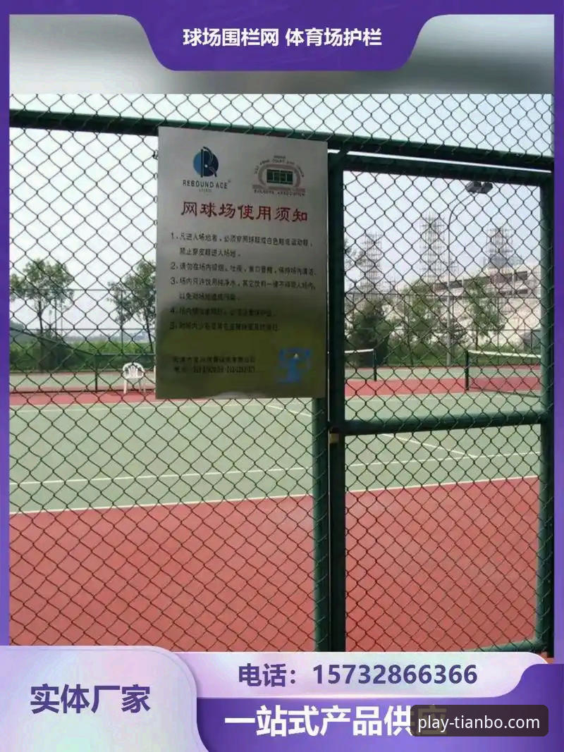 天博体育平台一站式服务深度评测：从下载到畅玩的全方位指南