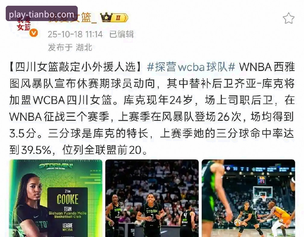 四川女篮总决赛G1大胜背后：三外援体系与数据洞察的全面解析